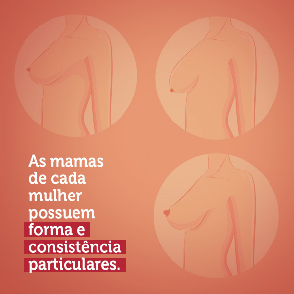 Imagem com três mamas e o texto "As mamas de cada mulher possuem forma e consistência particulares"